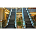 Energy Conservation Vvvf Passenger Escalator